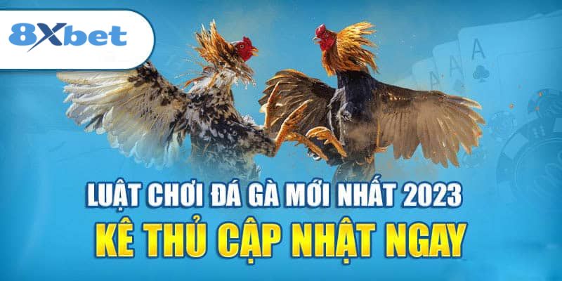 8XBET_Khám Phá Thế Giới Đá Gà Online Thomo Kịch Tính