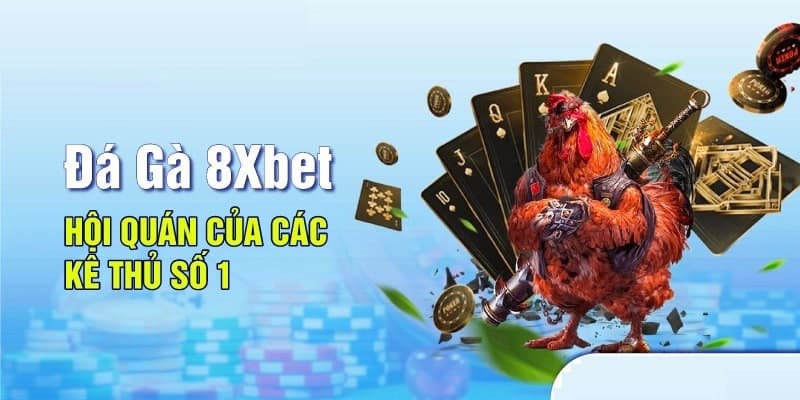 8XBET_Sảnh Chơi Đá Gà Trực Tuyến Trên Mạng Uy Tín Cho Kê Thủ