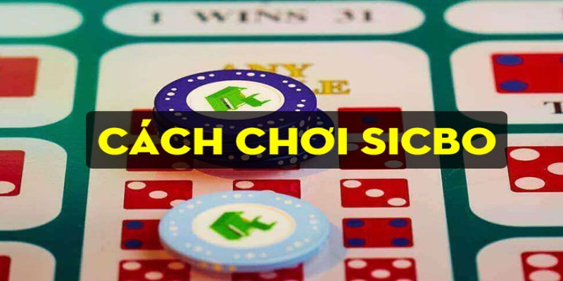 8XBET_Luật Chơi Sicbo Dành Cho Tân Thủ Chi Tiết Nhất 2023