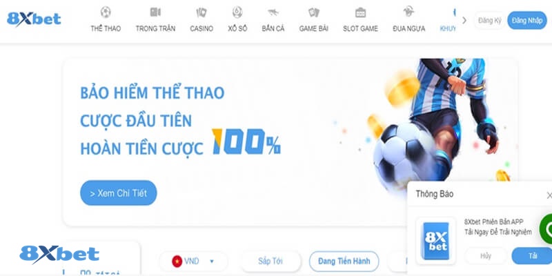 8XBET_Khuyến Mãi Bảo Hiểm Thắng Thua Hấp Dẫn Nhất 2023