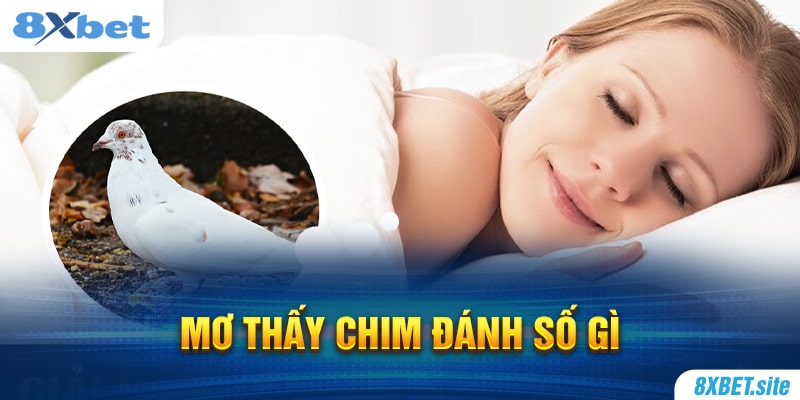 8XBET_Chiêm Bao Mơ Thấy Chim Đánh Số Gì? Điềm Tốt Hay Xấu