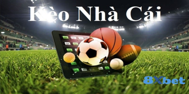 Cách đặt kèo nhà cái tại 8XBET