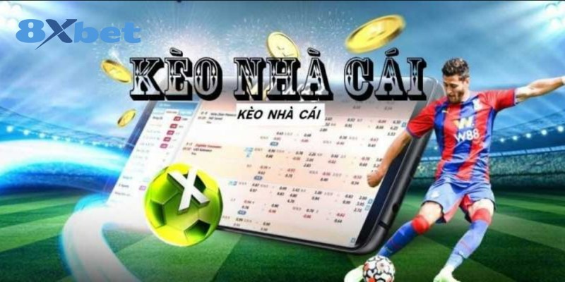 8XBET_Nhà Cái Cung Cấp Tỷ Lệ Kèo Nhà Cái Trực Tuyến Hấp Dẫn