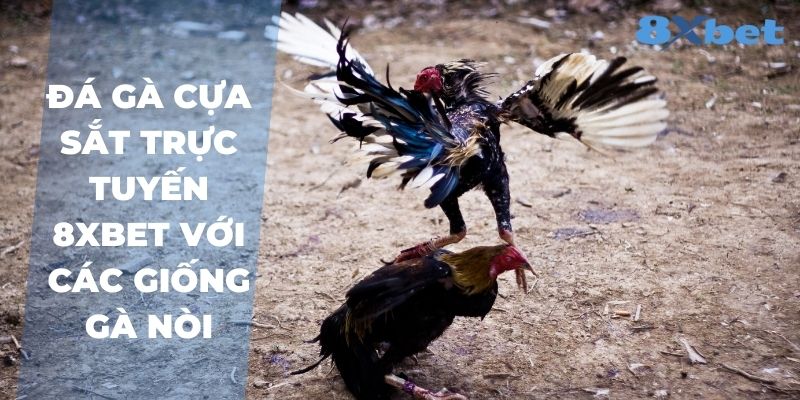 Đá gà cựa sắt trực tuyến